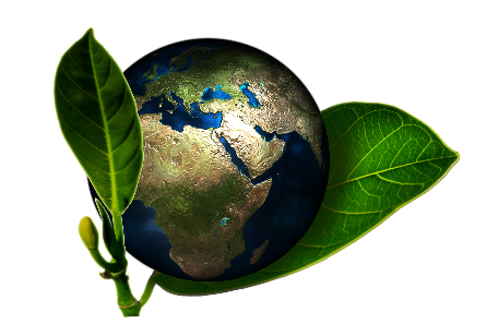 terre Une planète plus verte